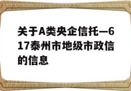 关于A类央企信托—617泰州市地级市政信的信息