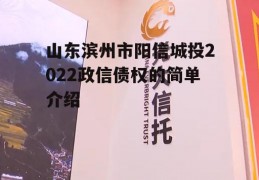 山东滨州市阳信城投2022政信债权的简单介绍