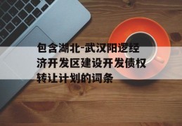 包含湖北-武汉阳逻经济开发区建设开发债权转让计划的词条