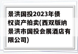 景洪国投2023年债权资产拍卖(西双版纳景洪市国投会展酒店有限公司)