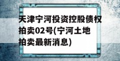 天津宁河投资控股债权拍卖02号(宁河土地拍卖最新消息)