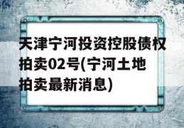 天津宁河投资控股债权拍卖02号(宁河土地拍卖最新消息)