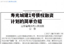 寿光城建1号债权融资计划的简单介绍