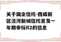 关于国企信托-西咸新区泾河新城信托首发一年期非标R2的信息