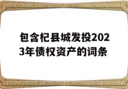 包含杞县城发投2023年债权资产的词条