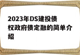 2023年DS建投债权政府债定融的简单介绍