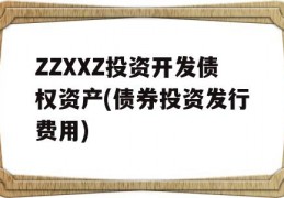 ZZXXZ投资开发债权资产(债券投资发行费用)