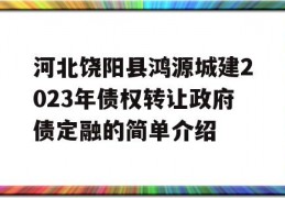 河北饶阳县鸿源城建2023年债权转让政府债定融的简单介绍