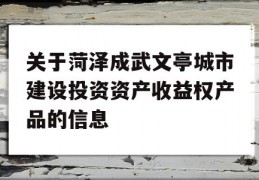 关于菏泽成武文亭城市建设投资资产收益权产品的信息