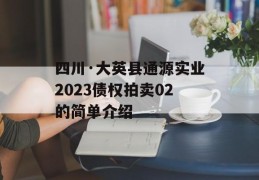 四川·大英县通源实业2023债权拍卖02的简单介绍