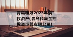 青岛和晟2023年债权资产(青岛和晟金控投资运营有限公司)