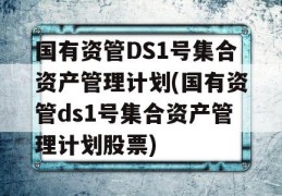 国有资管DS1号集合资产管理计划(国有资管ds1号集合资产管理计划股票)