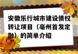 安徽乐行城市建设债权转让项目（亳州首发定融）的简单介绍