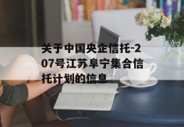 关于中国央企信托-207号江苏阜宁集合信托计划的信息