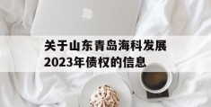 关于山东青岛海科发展2023年债权的信息