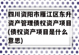 四川资阳市雁江区东升资产管理债权资产项目(债权资产项目是什么意思)