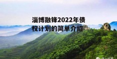 淄博融锋2022年债权计划的简单介绍