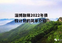 淄博融锋2022年债权计划的简单介绍