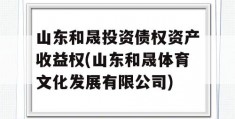 山东和晟投资债权资产收益权(山东和晟体育文化发展有限公司)