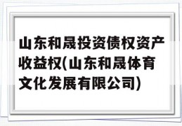 山东和晟投资债权资产收益权(山东和晟体育文化发展有限公司)