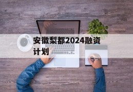 安徽梨都2024融资计划