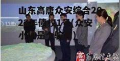 山东高唐众安综合2022年债权1号(众安小贷是个骗局)