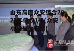 山东高唐众安综合2022年债权1号(众安小贷是个骗局)