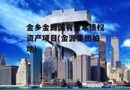 金乡金源国有资本债权资产项目(金源集团拍地)