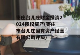 枣庄台儿庄财金投资2024债权资产(枣庄市台儿庄国有资产经营有限公司评级)