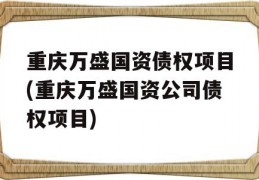 重庆万盛国资债权项目(重庆万盛国资公司债权项目)