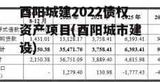 酉阳城建2022债权资产项目(酉阳城市建设)