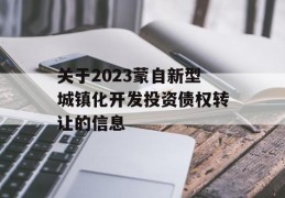 关于2023蒙自新型城镇化开发投资债权转让的信息