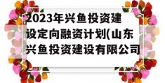 2023年兴鱼投资建设定向融资计划(山东兴鱼投资建设有限公司)