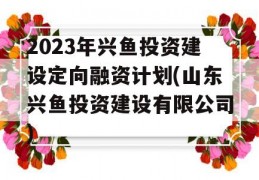 2023年兴鱼投资建设定向融资计划(山东兴鱼投资建设有限公司)