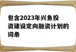 包含2023年兴鱼投资建设定向融资计划的词条