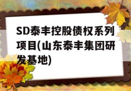 SD泰丰控股债权系列项目(山东泰丰集团研发基地)