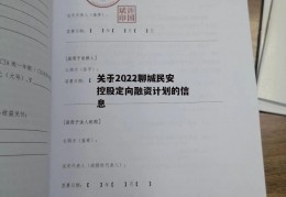 关于2022聊城民安控股定向融资计划的信息