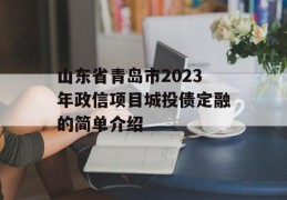 山东省青岛市2023年政信项目城投债定融的简单介绍