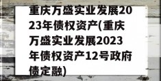 重庆万盛实业发展2023年债权资产(重庆万盛实业发展2023年债权资产12号政府债定融)