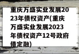 重庆万盛实业发展2023年债权资产(重庆万盛实业发展2023年债权资产12号政府债定融)