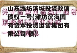 山东潍坊滨城投资政信债权一号(潍坊滨海国有资本投资运营集团有限公司 债)