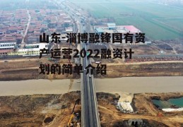 山东-淄博融锋国有资产运营2022融资计划的简单介绍