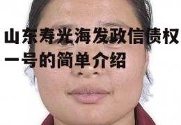 山东寿光海发政信债权一号的简单介绍