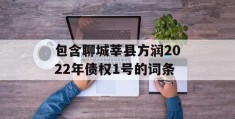 包含聊城莘县方润2022年债权1号的词条