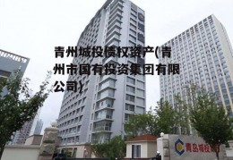 青州城投债权资产(青州市国有投资集团有限公司)