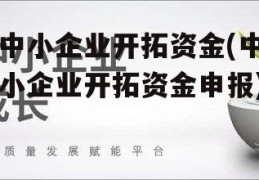 中小企业开拓资金(中小企业开拓资金申报)