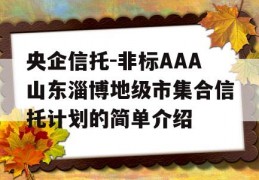 央企信托-非标AAA山东淄博地级市集合信托计划的简单介绍