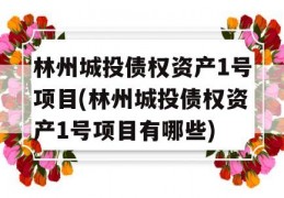 林州城投债权资产1号项目(林州城投债权资产1号项目有哪些)