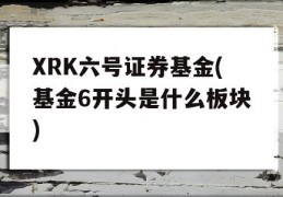 XRK六号证券基金(基金6开头是什么板块)