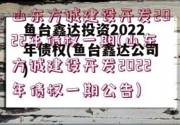 鱼台鑫达投资2022年债权(鱼台鑫达公司)